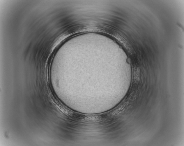 X0000097771078200803281635