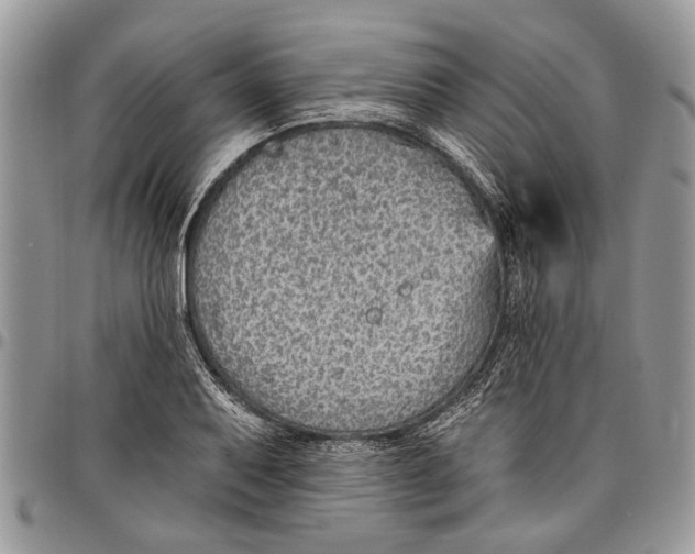 X0000097771079200803281635