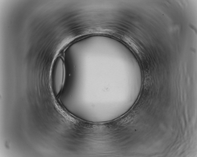 X0000097771080200803281635