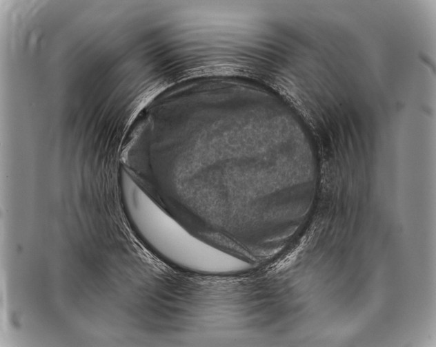 X0000097771081200803281635