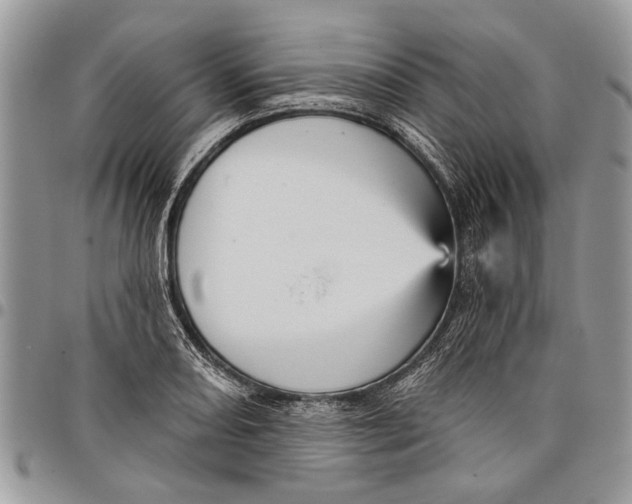 X0000097771082200803281635