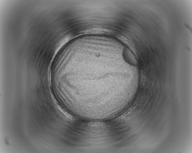 X0000097771083200803281635