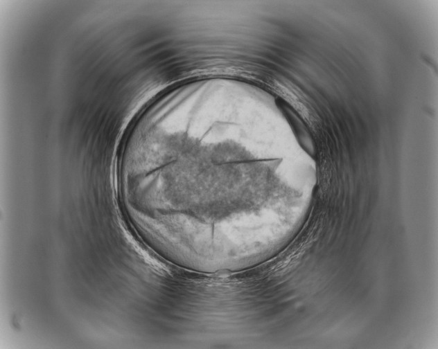 X0000097771084200803281635