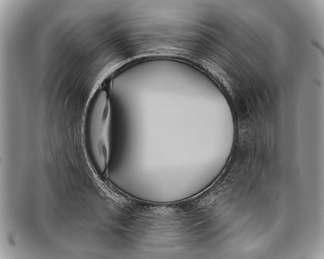 X0000097771085200803281635