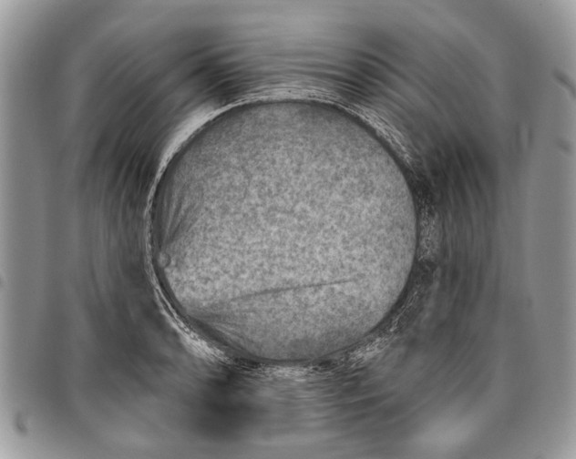 X0000097771086200803281635