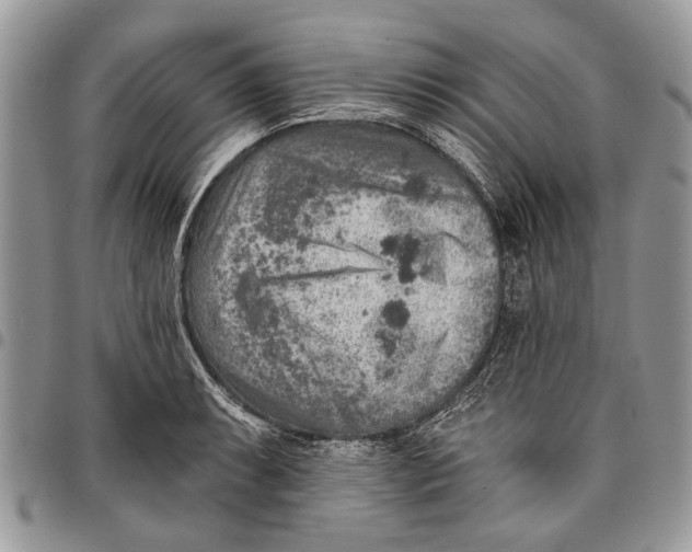 X0000097771087200803281635