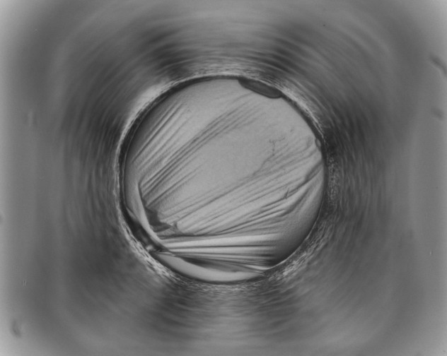 X0000097771088200803281635