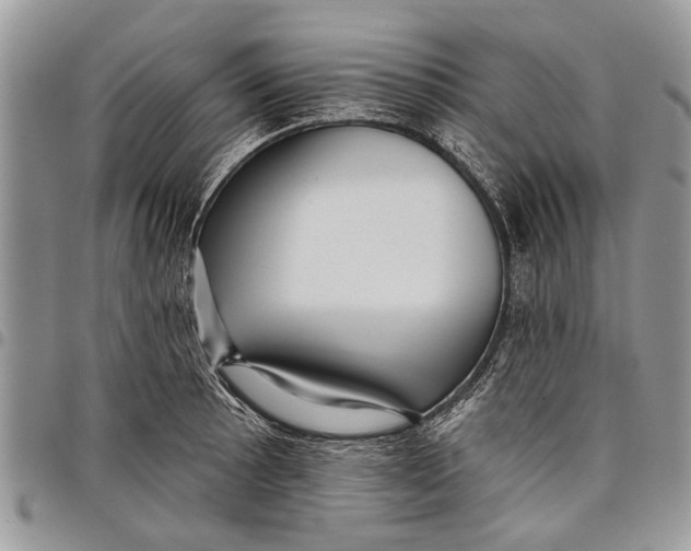 X0000097771089200803281635