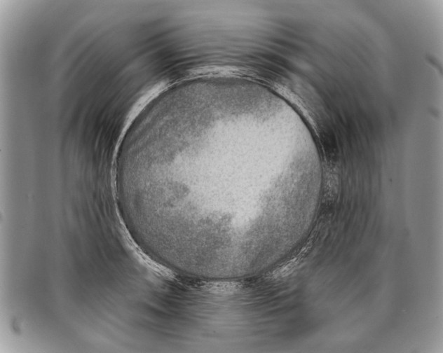 X0000097771090200803281635