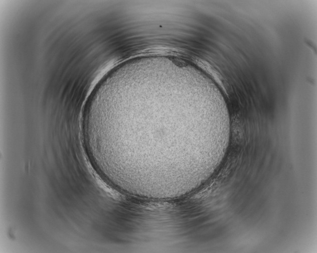 X0000097771091200803281634