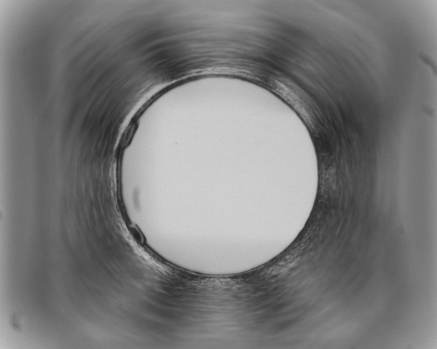 X0000097771092200803281634