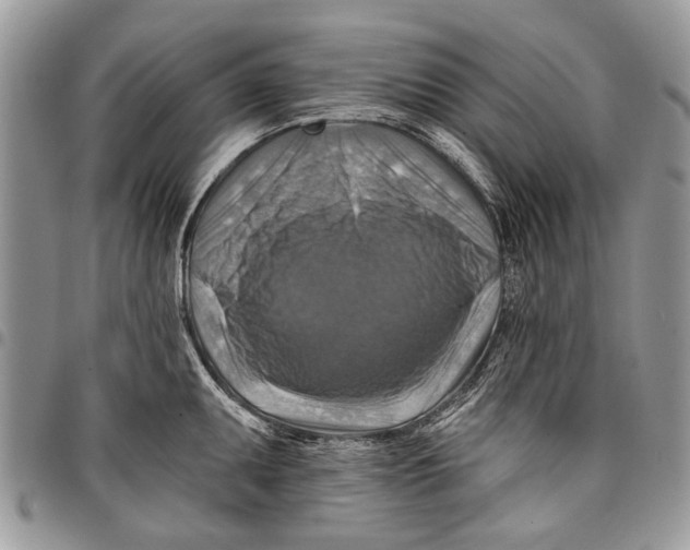 X0000097771095200803281634