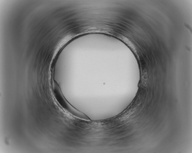 X0000097771096200803281634