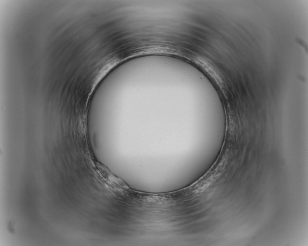 X0000097771097200803281634