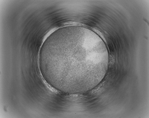 X0000097771098200803281634