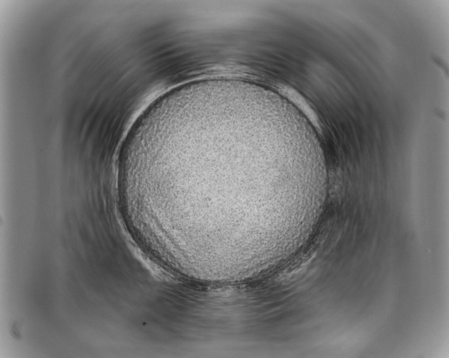 X0000097771099200803281634