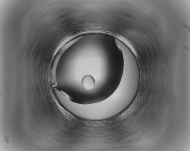 X0000097771101200803281634