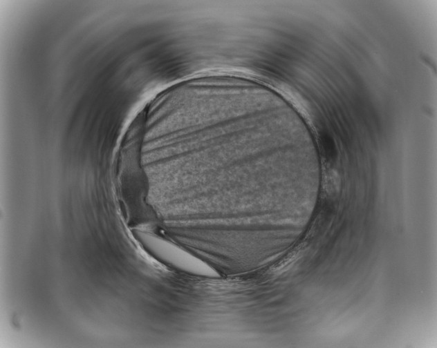 X0000097771102200803281634