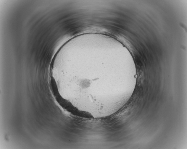 X0000097771103200803281634