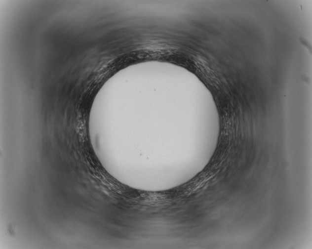 X0000097771109200803281634