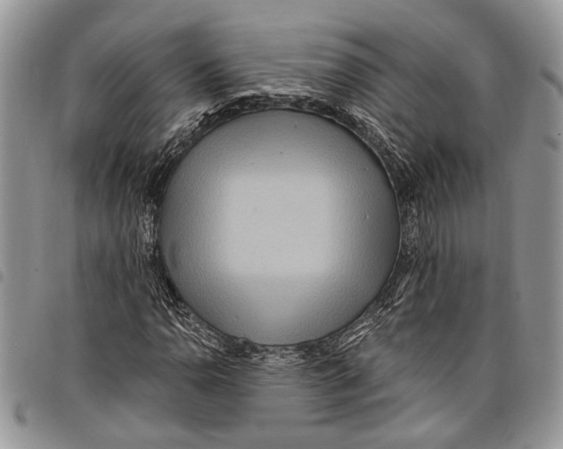 X0000097771110200803281634