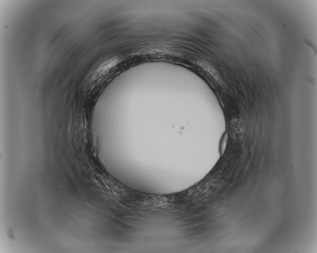 X0000097771111200803281634