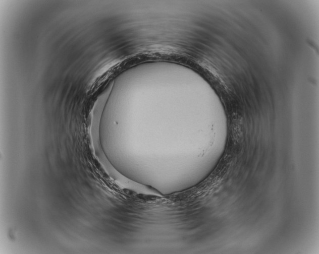 X0000097771112200803281634