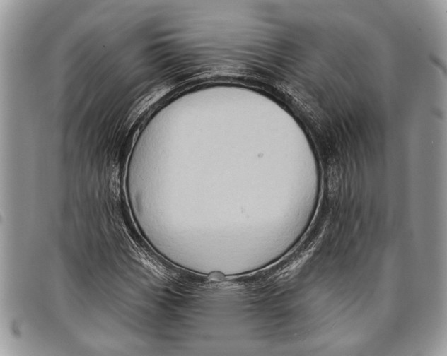 X0000097771113200803281634