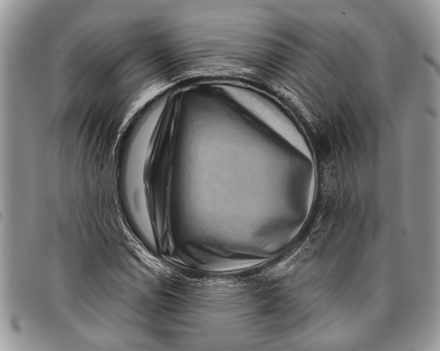 X0000097771114200803281634