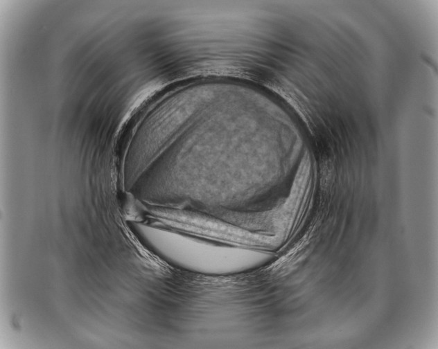 X0000097771115200803281634