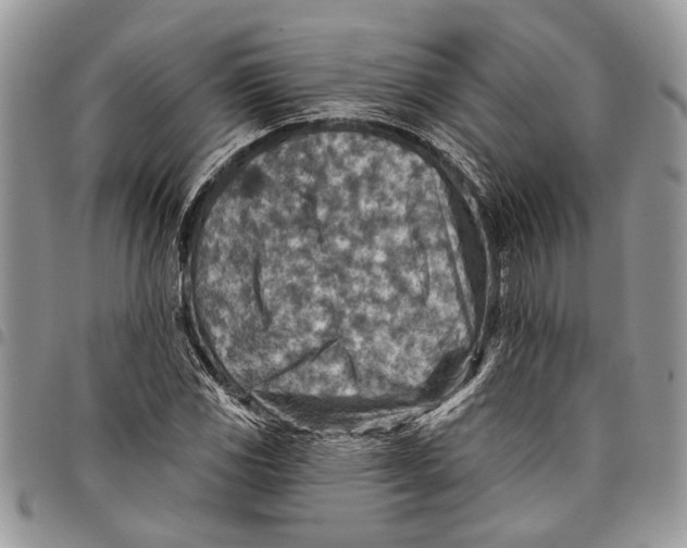 X0000097771117200803281634