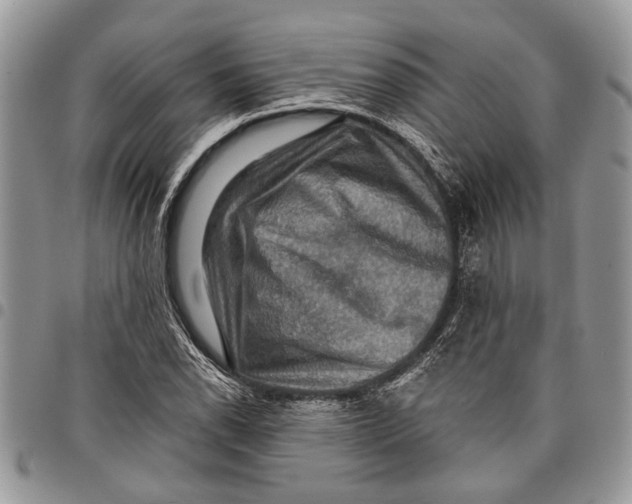 X0000097771118200803281634