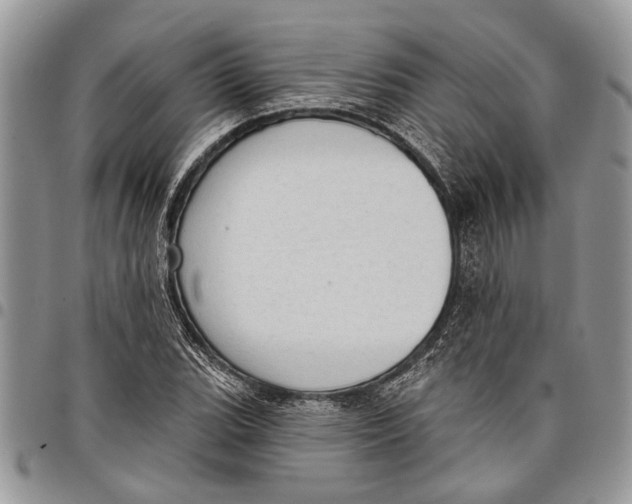 X0000097771119200803281634