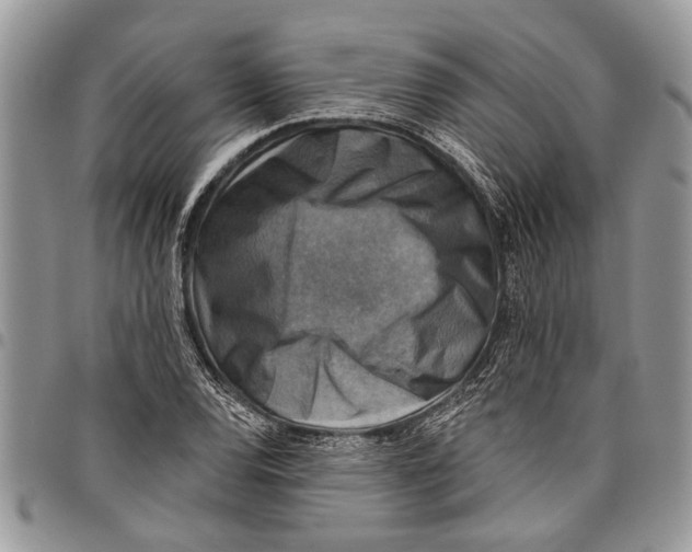 X0000097771120200803281634