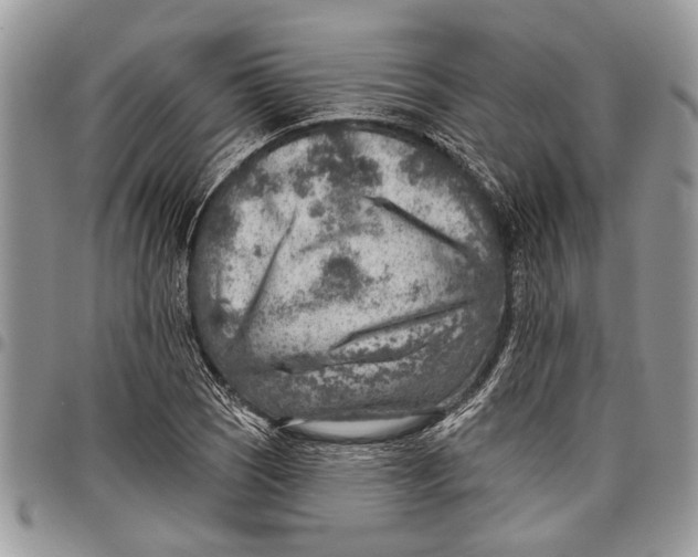 X0000097771121200803281634