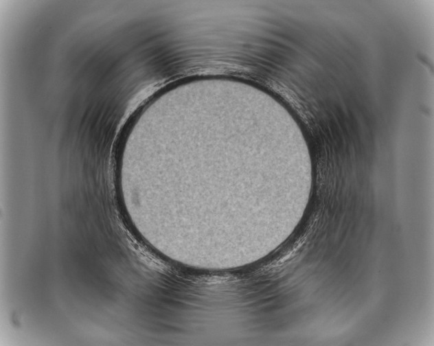 X0000097771122200803281634