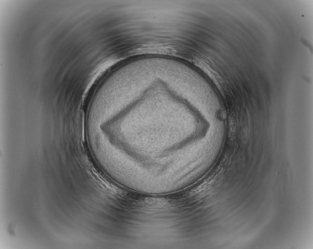 X0000097771123200803281634