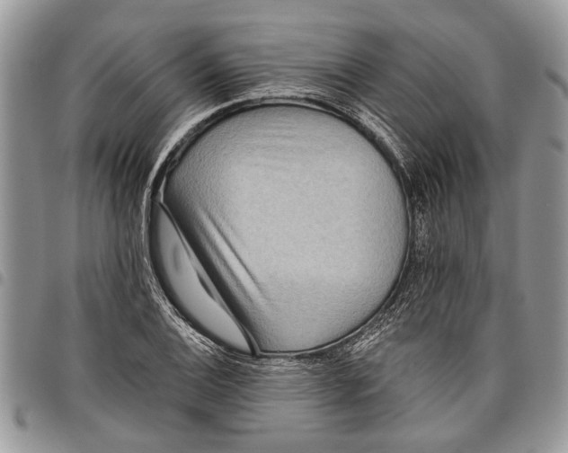 X0000097771124200803281634