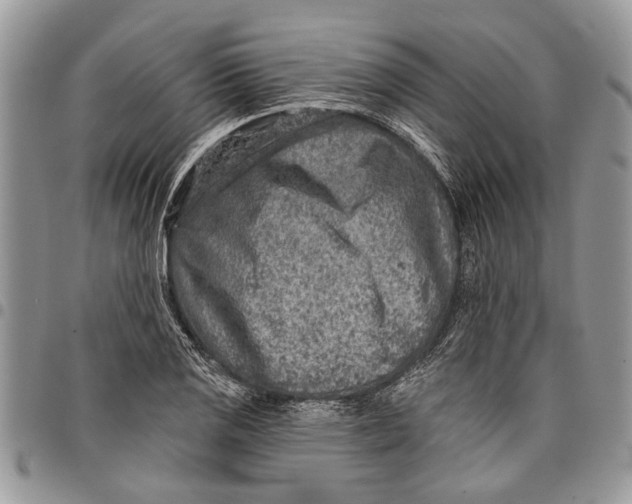 X0000097771125200803281634