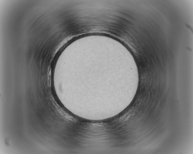 X0000097771126200803281634