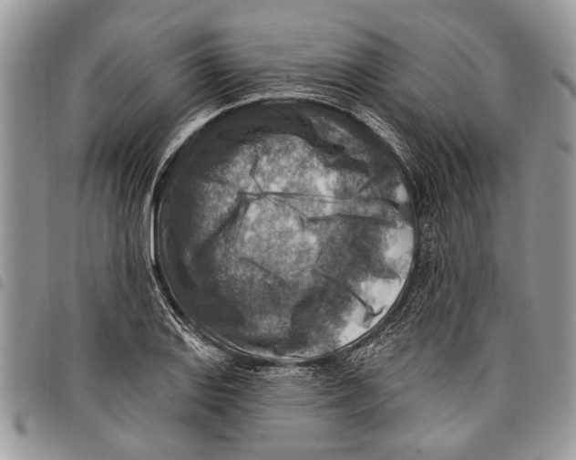 X0000097771127200803281634