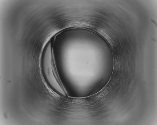 X0000097771128200803281634