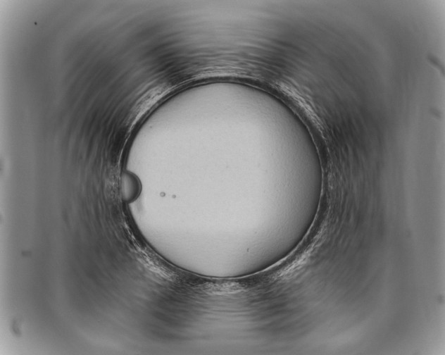 X0000097771129200803281634