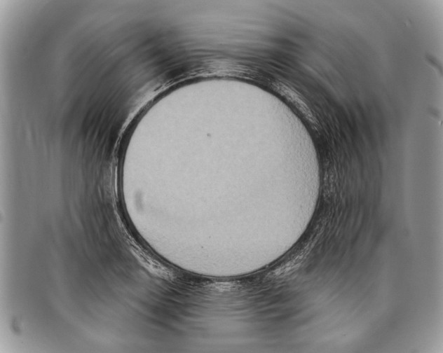 X0000097771130200803281634