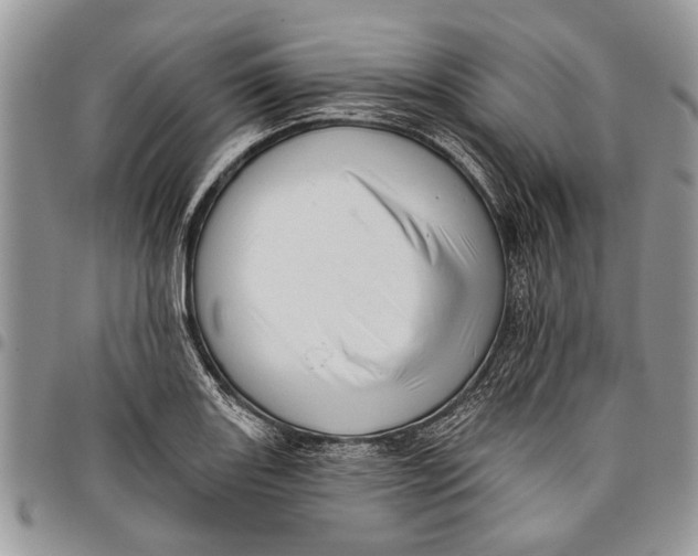 X0000097771131200803281634