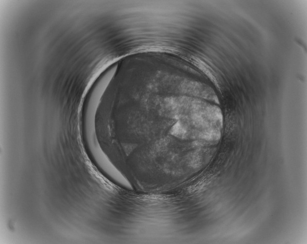 X0000097771132200803281634