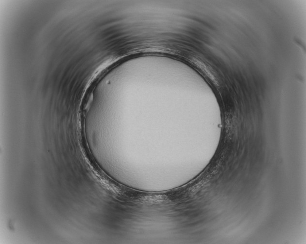 X0000097771133200803281634