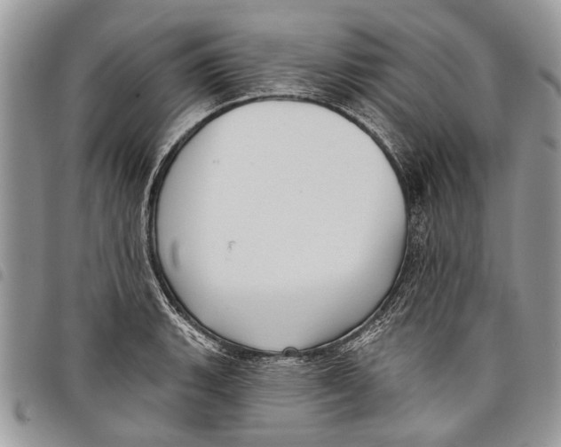 X0000097771135200803281634