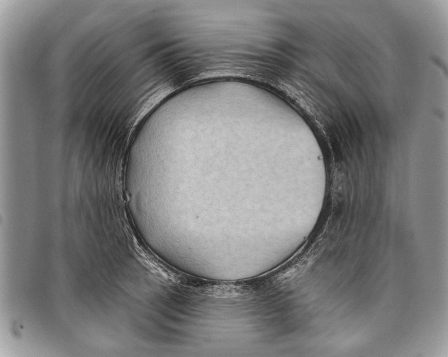 X0000097771137200803281634