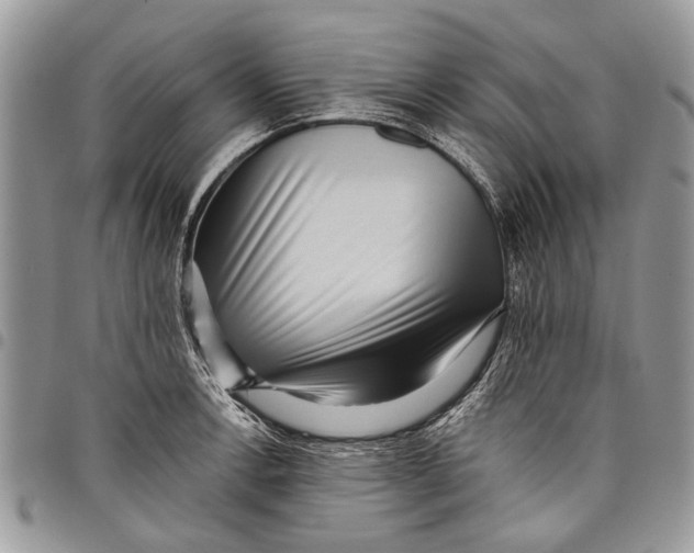 X0000097771138200803281634